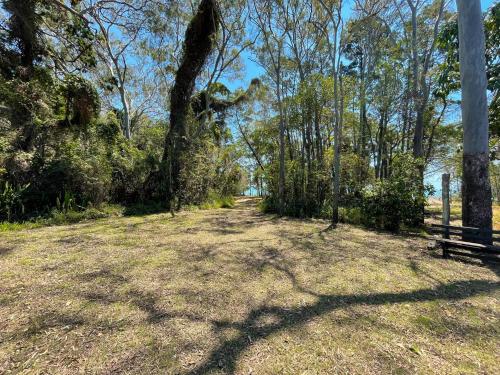a park with a bench in a field with trees at Wags On The Beach - Toogoom - Beachfront- 4BR-Aircon- Pets OK in Toogoom