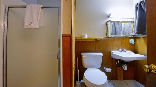 a bathroom with a toilet and a sink at Arrowhead 11 in Red River