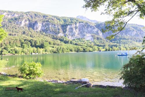 a dog walking in front of a lake with a boat at Das Mondsee-Apartment in Unterach am Attersee