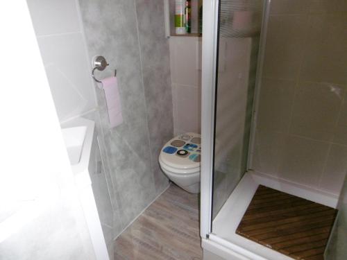 une petite salle de bain avec toilettes et douche dans l'établissement Charmant T2 rénové climatisé avec parking privé à 450m de la plage, idéal pour 4 pers. - FR-1-797-8, à Port-la-Nouvelle