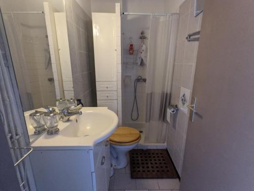 une salle de bain avec un lavabo, des toilettes et une douche dans l'établissement T2 Climatisé 4 pers. avec Parking, Front de mer, Port-la-Nouvelle - FR-1-797-10, à Port-la-Nouvelle