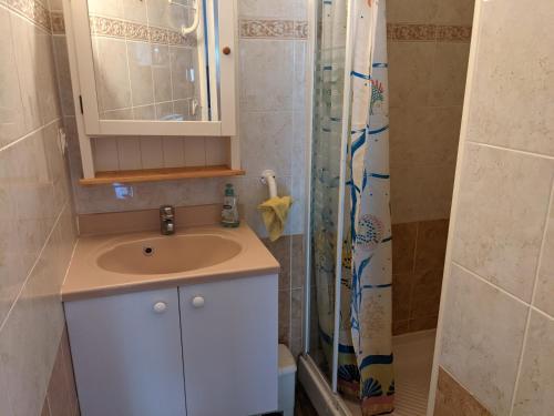 une salle de bain avec un lavabo et une douche dans l'établissement Belle villa climatisée T3 avec mezzanine, jardin arboré, garage et à 900m de la plage, 6/7 personnes - FR-1-797-36, à Port-la-Nouvelle
