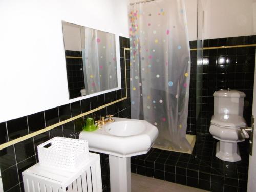 une salle de bain avec un lavabo, des toilettes et un miroir dans l'établissement Charmant T4 climatisé pour 6 pers, proche plage, jardin, parking, terrasse, tout équipé - FR-1-797-25, à Port-la-Nouvelle