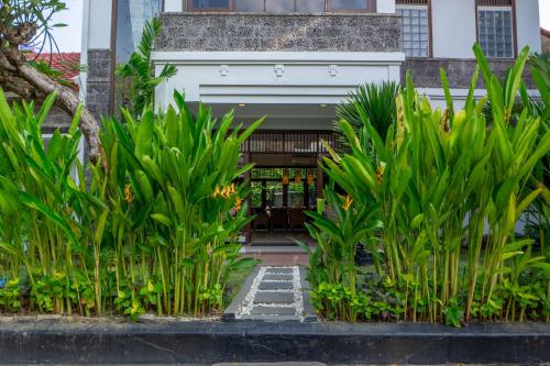 a group of plants in front of a building at Atres Griya Villa 5 Private Bedroom Kuta in Kuta