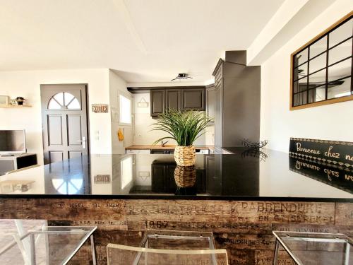 une cuisine avec un comptoir avec un vase d'ananas dans l'établissement Maison moderne T3 avec terrasse, parking, proche plage, 6 pers, 3*, Canet-en-Roussillon - FR-1-794-147, à Canet