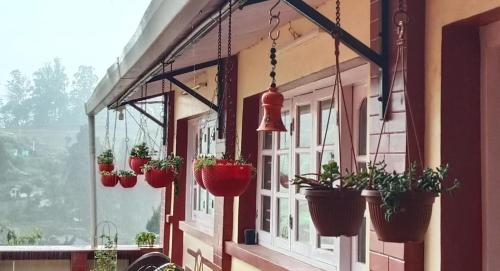 a row of potted plants hanging from a building at Kanjira house in Ooty