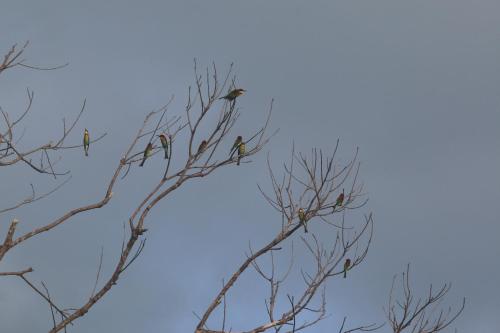 Gambar di galeri bagi Veranda Nautica di Kuah