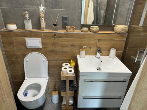 a bathroom with a white toilet and a sink at Apartmány Rak Lipno in Černá v Pošumaví