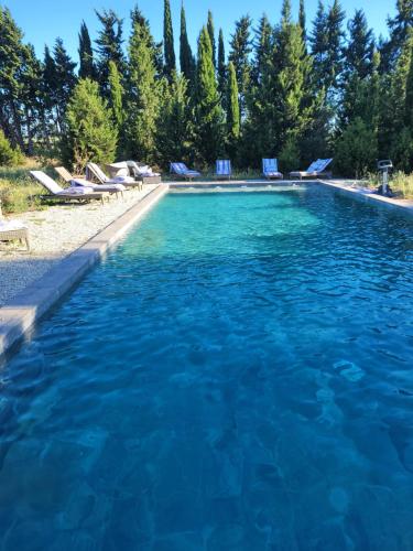 - une piscine d'eau bleue et des chaises longues dans l'établissement Villa Blanche, à Arles
