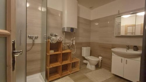 a bathroom with a shower and a toilet and a sink at Apartmány Horka in Kamenná Horka