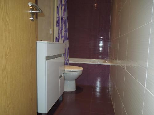 馬德里的住宿－庫瓦特羅托雷斯公寓，一间带卫生间和淋浴的小浴室