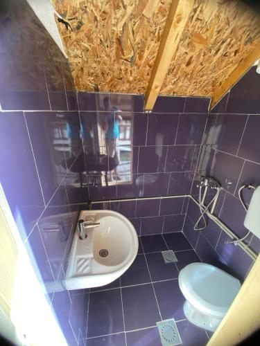 a blue tiled bathroom with a toilet and a sink at Kucice za odmor in Plav