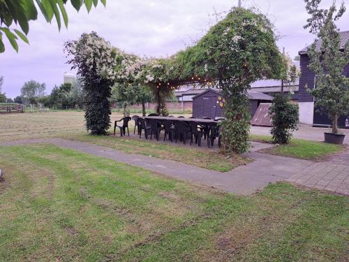 a picnic table in a park with a tree with flowers at Boertel Lamperse Hei in Wanroij