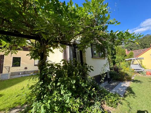 a tree in the yard of a house at Ferienhaus Wachwitzgrund in Dresden