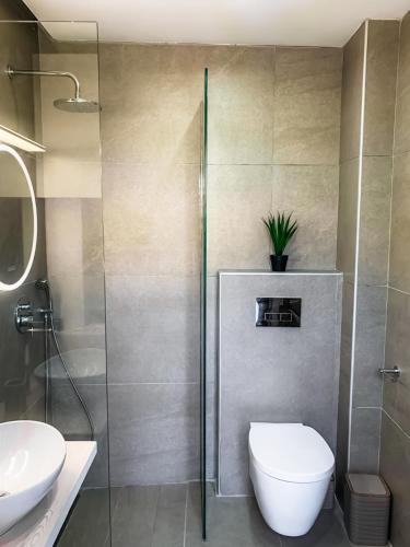 a bathroom with a shower and a toilet and a sink at Apellou Apartments in Vathý