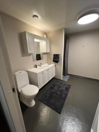 a bathroom with a toilet and a sink at Nordlandshus Lofoten in Berg