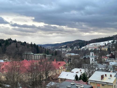 a view of a city with snow covered roofs at Apartamenty Cicha - bezpłatny parking in Krynica Zdrój