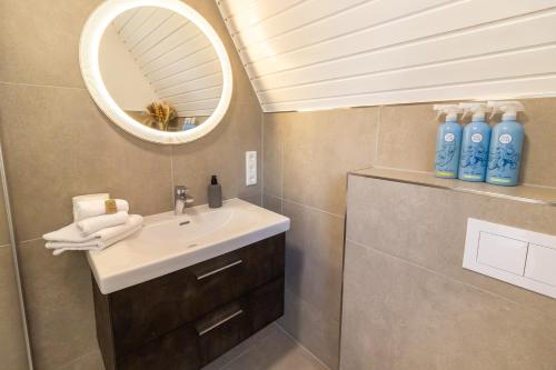 a bathroom with a sink and a mirror at Deichblick No1 in Krummhörn