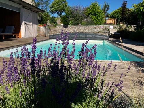 a pool with purple flowers in front of a yard at Ubytování Zahrada in Mutěnice