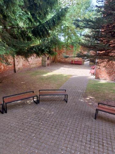 three benches sitting on a brick walkway in a park at Mokyklos viešbutis in Šilutė