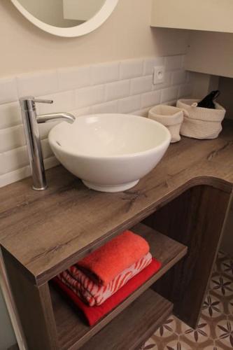 une salle de bain avec un lavabo et un comptoir avec des serviettes dans l'établissement Agréable studio à 1 min du Château de Versailles, à Versailles