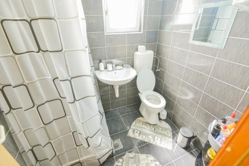ein Badezimmer mit Toilette und Waschbecken in der Unterkunft Villa Miris Prirode Zenik in Ilidža
