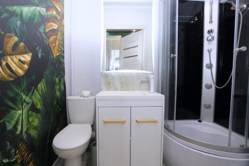 a bathroom with a toilet and a shower at Apartament Złota Piaskowa in Wałbrzych