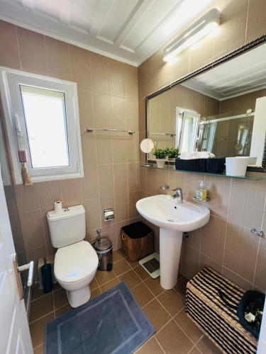 a bathroom with a toilet and a sink and a mirror at Lefkada Beach Villa in Lefkada