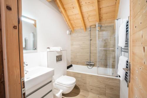 une salle de bain avec toilettes, douche et lavabo dans l'établissement Chalet Galbert, Vaujany, à Vaujany