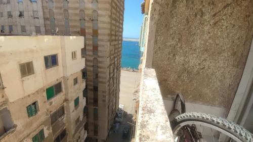TM team investment - good flat at abuquir