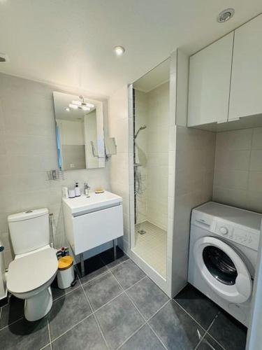 une salle de bain avec toilettes et lavabo et une machine à laver dans l'établissement Appartement quartier centre historique, à Caen