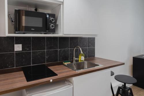une cuisine avec un évier et un micro-ondes dans l'établissement Studio Gorgeat, à Chambéry
