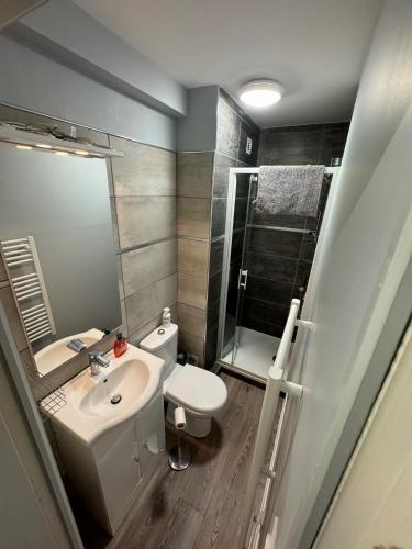 une salle de bain avec un lavabo, des toilettes et une douche dans l'établissement Le Champenois, plage et calme, à Merville-Franceville-Plage