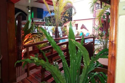 a green plant in front of a balcony at Citadel Bed and Breakfast in Puerto Princesa City