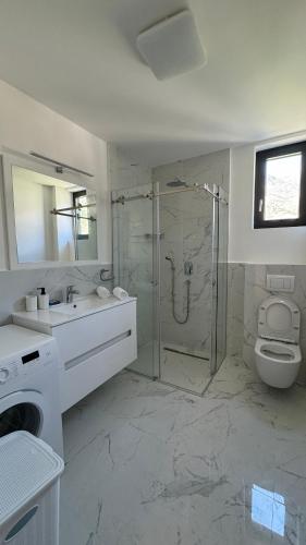 a bathroom with a shower and a sink and a toilet at Jadran Dream2 in Rafailovici