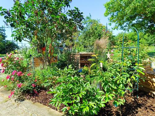a garden with many different plants and flowers at Landgasthof zum Rappen in Creglingen