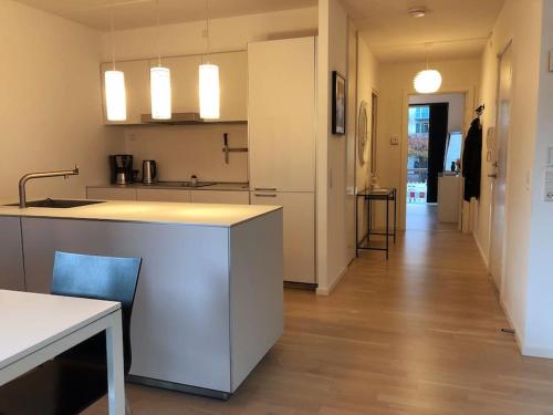 a kitchen with a sink and a counter top at 1 bedroom Copenhagen Designer Flat in Copenhagen