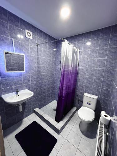 a bathroom with a toilet and a sink at Apartman Taktik in Veľký Meder