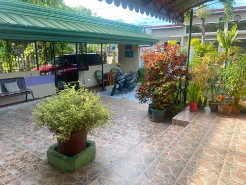 a group of potted plants on a patio at Villa 301 B&B in Baclayon