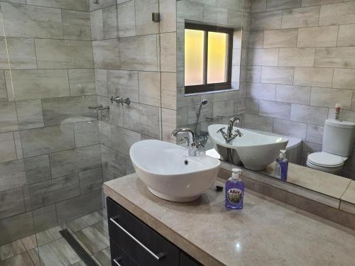 a bathroom with a sink and a toilet and a mirror at The Crooked Forest in Pretoria