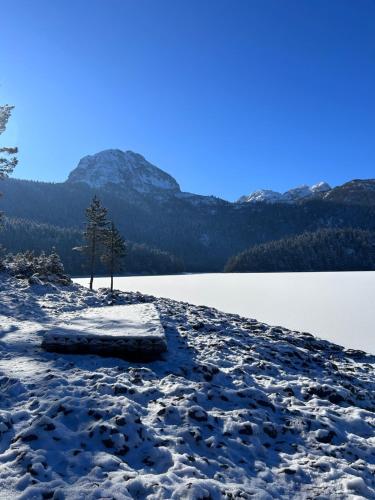 a snow covered hill with a tree and a body of water at NV Mountain House in Žabljak