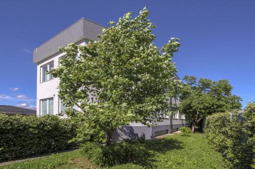 Κήπος έξω από το La Cordata Accommodation - Woodhouse Bike Hotel