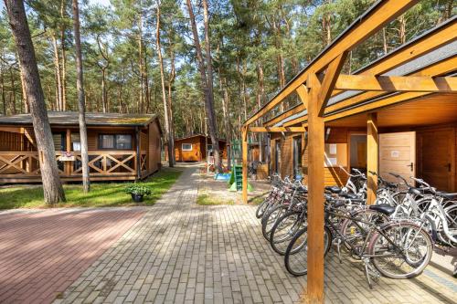 Domki letniskowe Arkadia