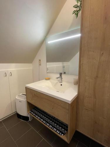a bathroom with a sink and a mirror at La taniere de Besinne in Profondeville
