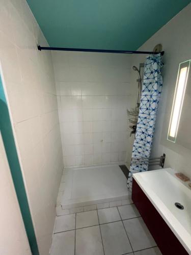 un baño con ducha y lavabo en Appart 2 ch près RER Champs sur Marne - Disneyland et Paris, en Champs-Sur-Marne