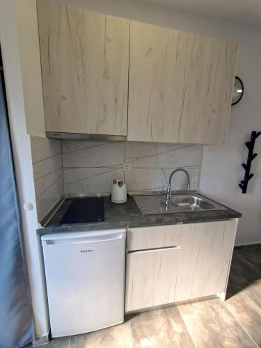 a small kitchen with a sink and a dishwasher at Apollon Luxury Rooms in Nea Vrasna
