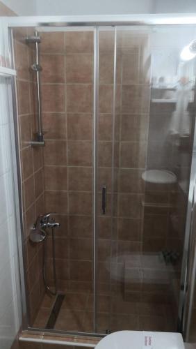 a shower with a glass door next to a toilet at Villa NOTOS in Makry Gialos