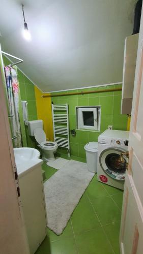 a green bathroom with a washing machine and a sink at Central View Apartment 2 Sarajevo in Sarajevo