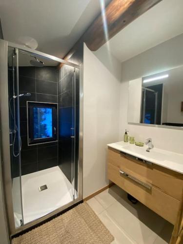 une salle de bain avec douche et lavabo dans l'établissement Appartement Brévent, aux Houches
