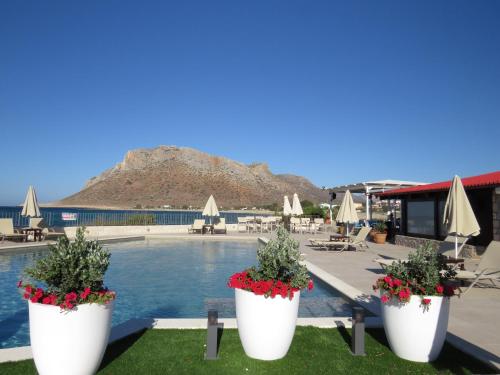 a pool with two large white pots filled with flowers at Blue Beach Villas Apartments in Stavros